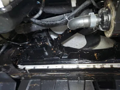 2021 Volkswagen Tiguan WVGZZZ5NZMW555104 VIN:WVGZZZ5NZMW555104