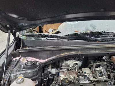 2021 Kia Sorento KNARK81BHNA116251 VIN:KNARK81BHNA116251