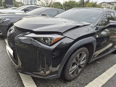 2021 Lexus UX 250 JTHR6JBHXM2091138 VIN:JTHR6JBHXM2091138