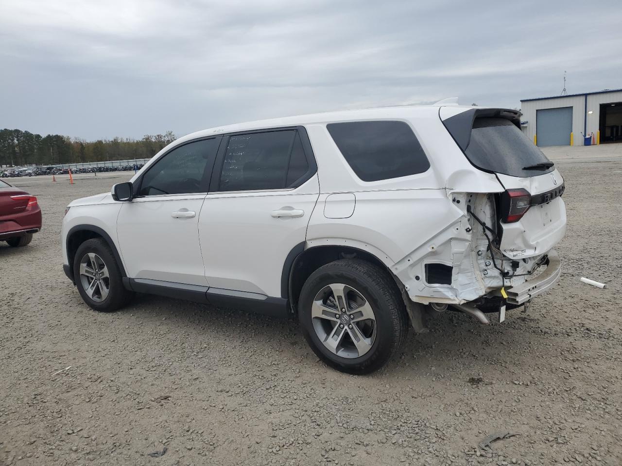 2023 HONDA PILOT EXL VIN:5FNYG2H55PB004180