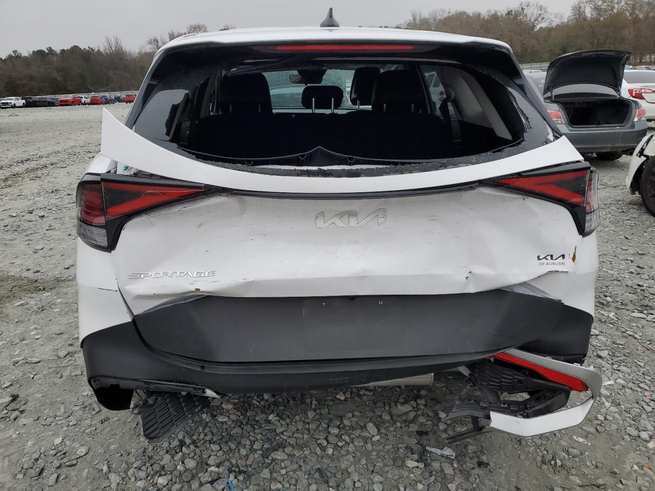 2024 KIA SPORTAGE EX VIN:5XYK33DFXRG209866