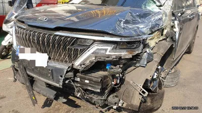 2021 Kia Carnival KNANC813BMS119768 VIN:KNANC813BMS119768