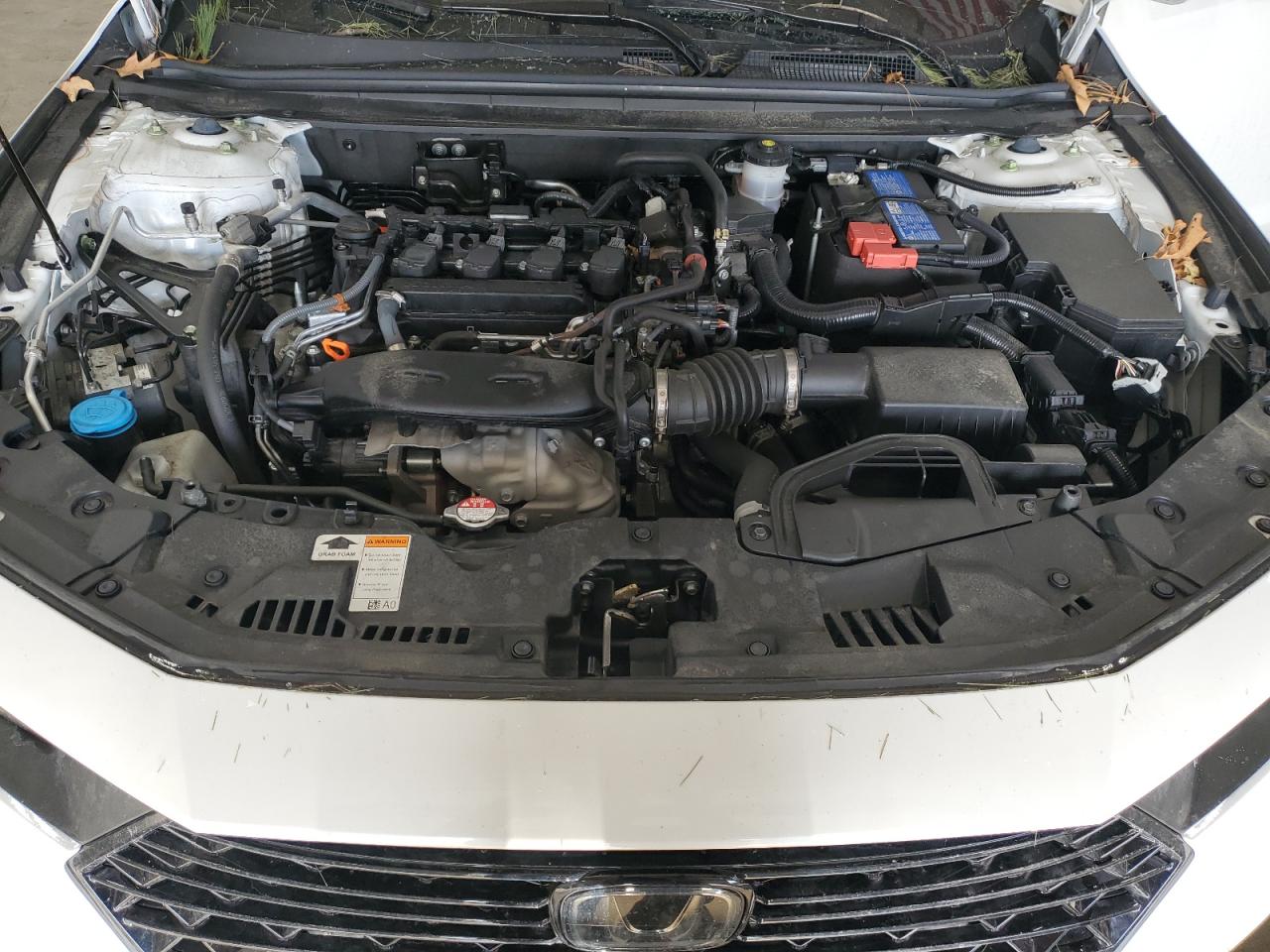 2023 HONDA ACCORD LX VIN:1HGCY1F28PA054673