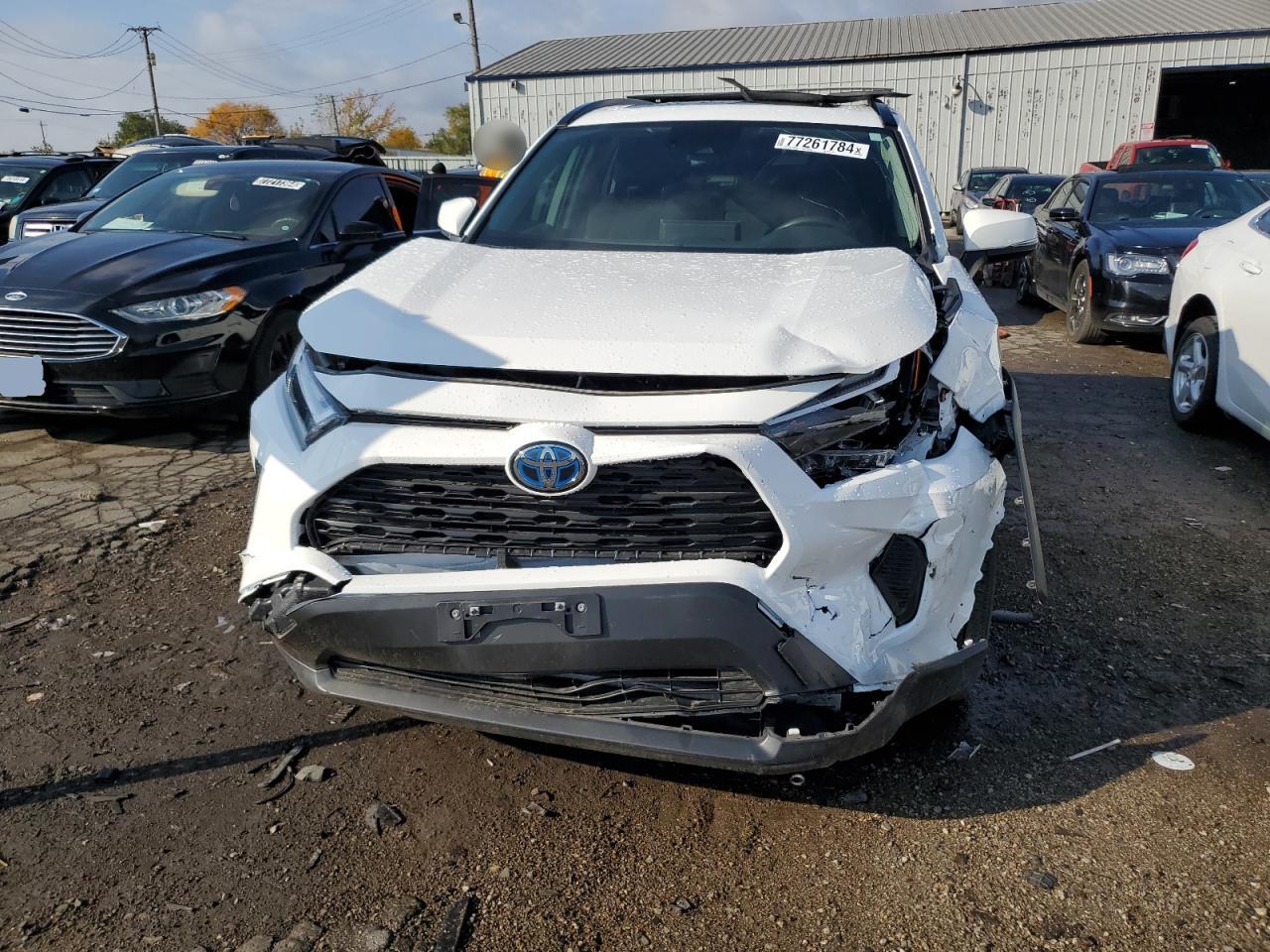 2023 TOYOTA RAV4 XLE VIN:JTMRWRFV4PD187260