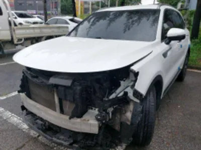 2021 Kia Sorento KNARK81BHMA070415 VIN:KNARK81BHMA070415