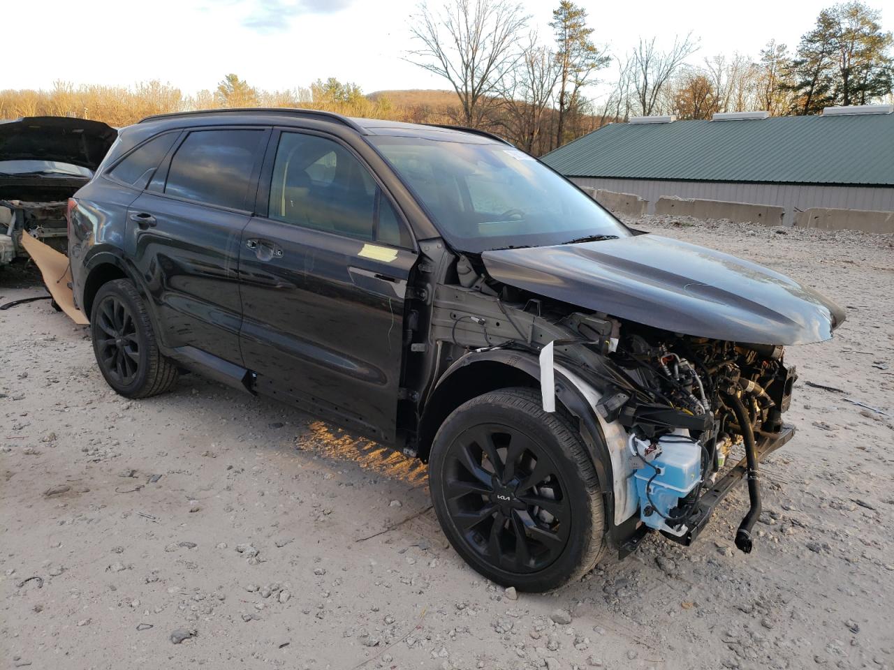 2023 KIA SORENTO SX VIN:5XYRKDLF7PG250008