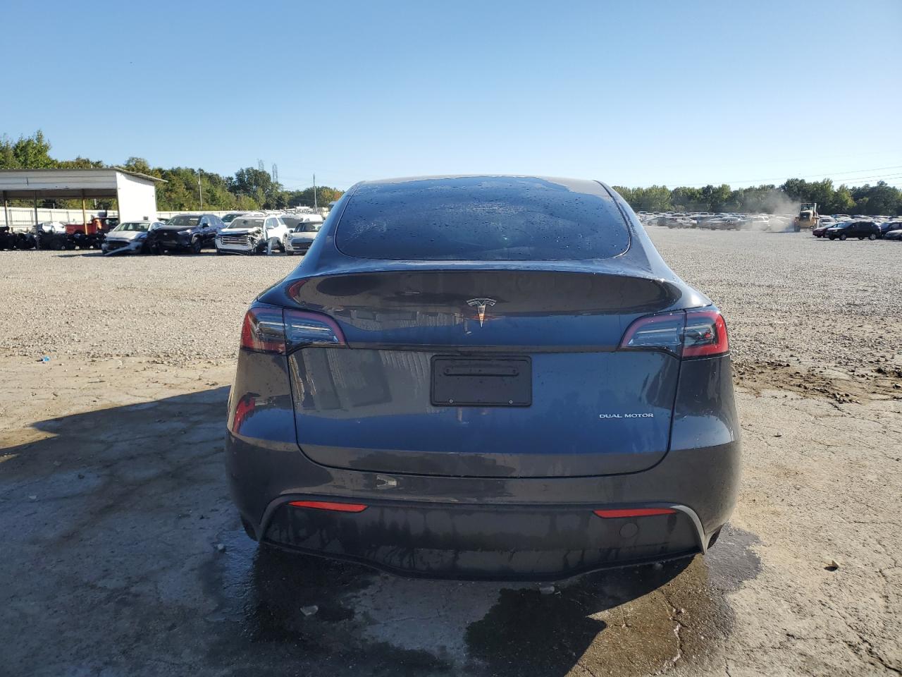 2024 TESLA MODEL Y  VIN:7SAYGDEE0RA253280