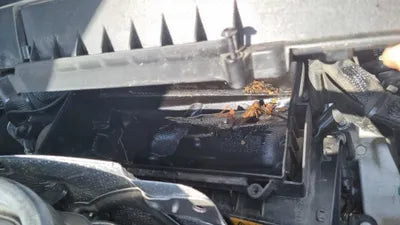 2019 Mercedes-Benz S 560 WDDUG8GB2KA425399 VIN:WDDUG8GB2KA425399