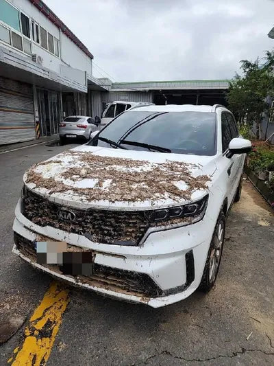 2021 Kia Sorento VIN: