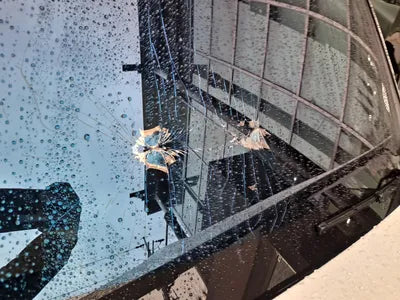 2022 Mercedes-Benz CLS 450 W1K2J5KB9NA099006 VIN:W1K2J5KB9NA099006