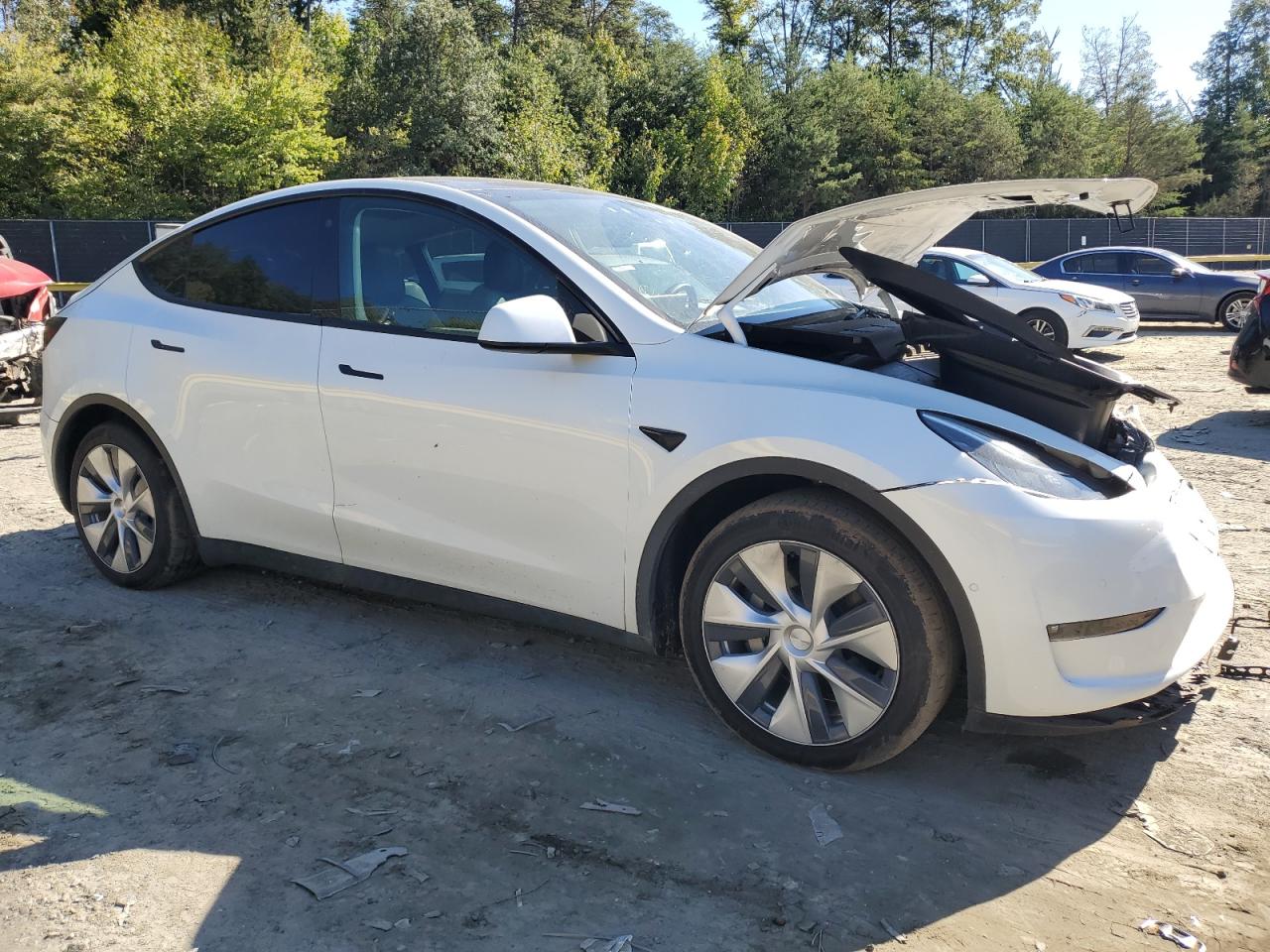 2022 TESLA MODEL Y  VIN:7SAYGAEE8NF358449