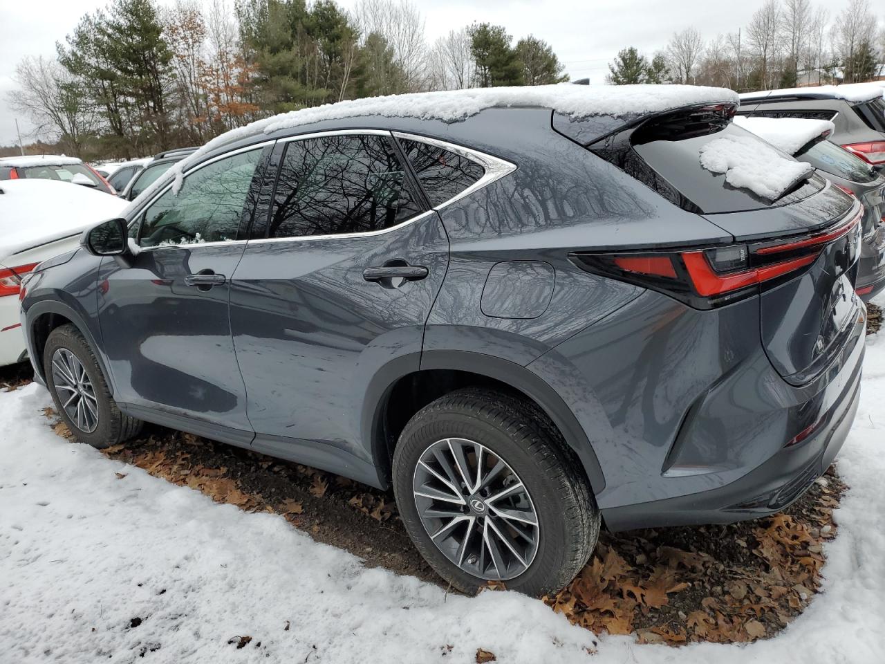 2023 LEXUS NX 350 VIN:2T2GGCEZXPC021873