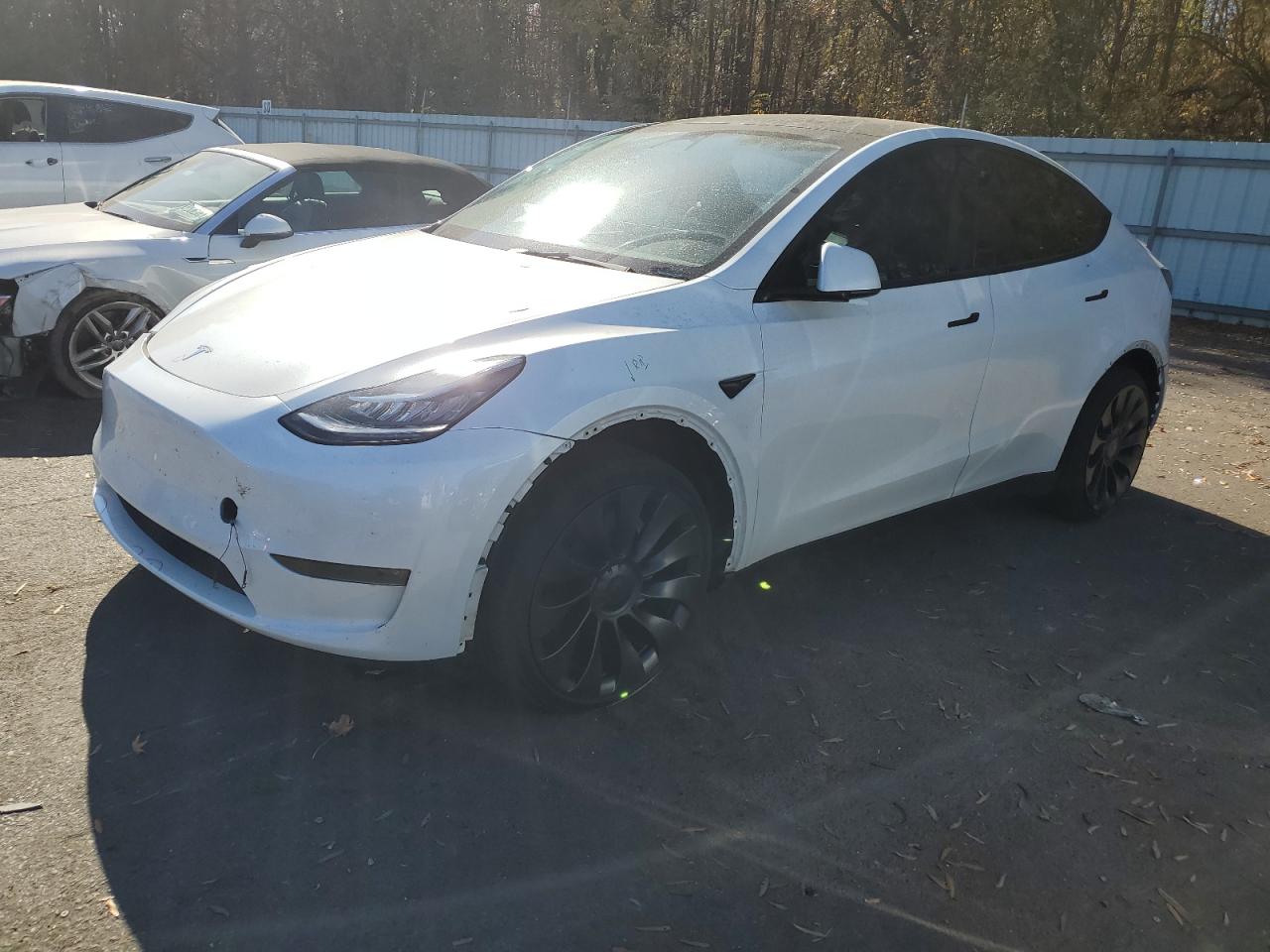 2023 TESLA MODEL Y  VIN:7SAYGDEEXPA052211