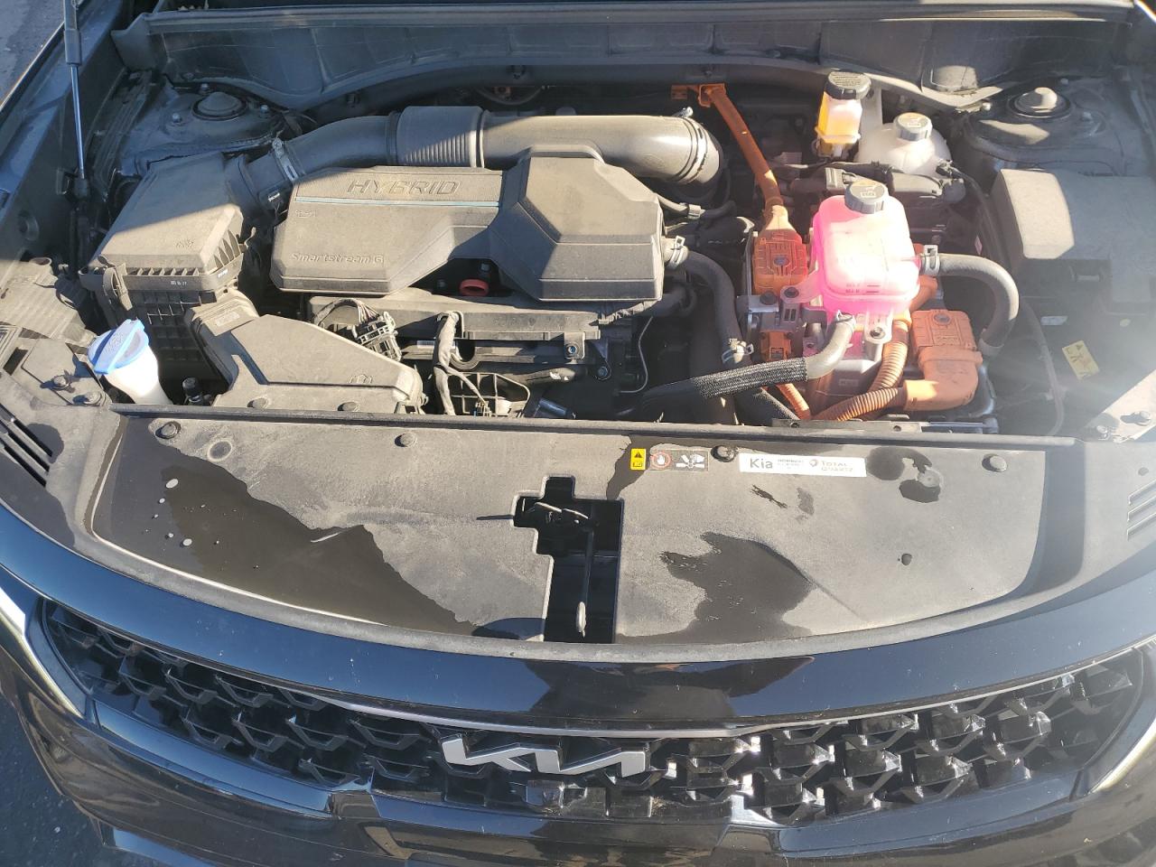 2023 KIA SORENTO SXP VIN:KNDRKDLG3P5219209