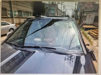 2017 Kia Mohave KNAKN814DHA164826 VIN:KNAKN814DHA164826