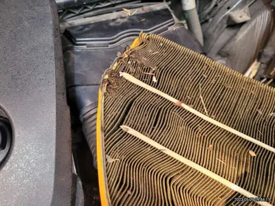 2019 Mercedes-Benz S 350 WDDUF2BB3KA434443 VIN:WDDUF2BB3KA434443