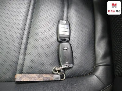 2017 Kia Sorento KNAPS81ABHA353094 VIN:KNAPS81ABHA353094