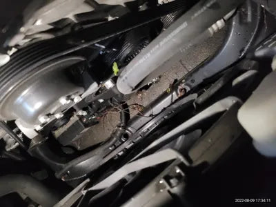 2015 acupuncture nessis 3.3 VIN: