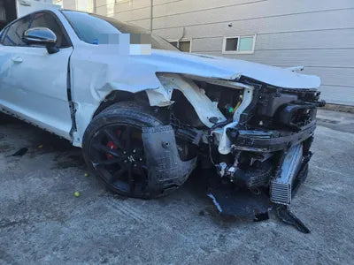 2021 Kia Stinger KNAE551CDMS098940 VIN:KNAE551CDMS098940