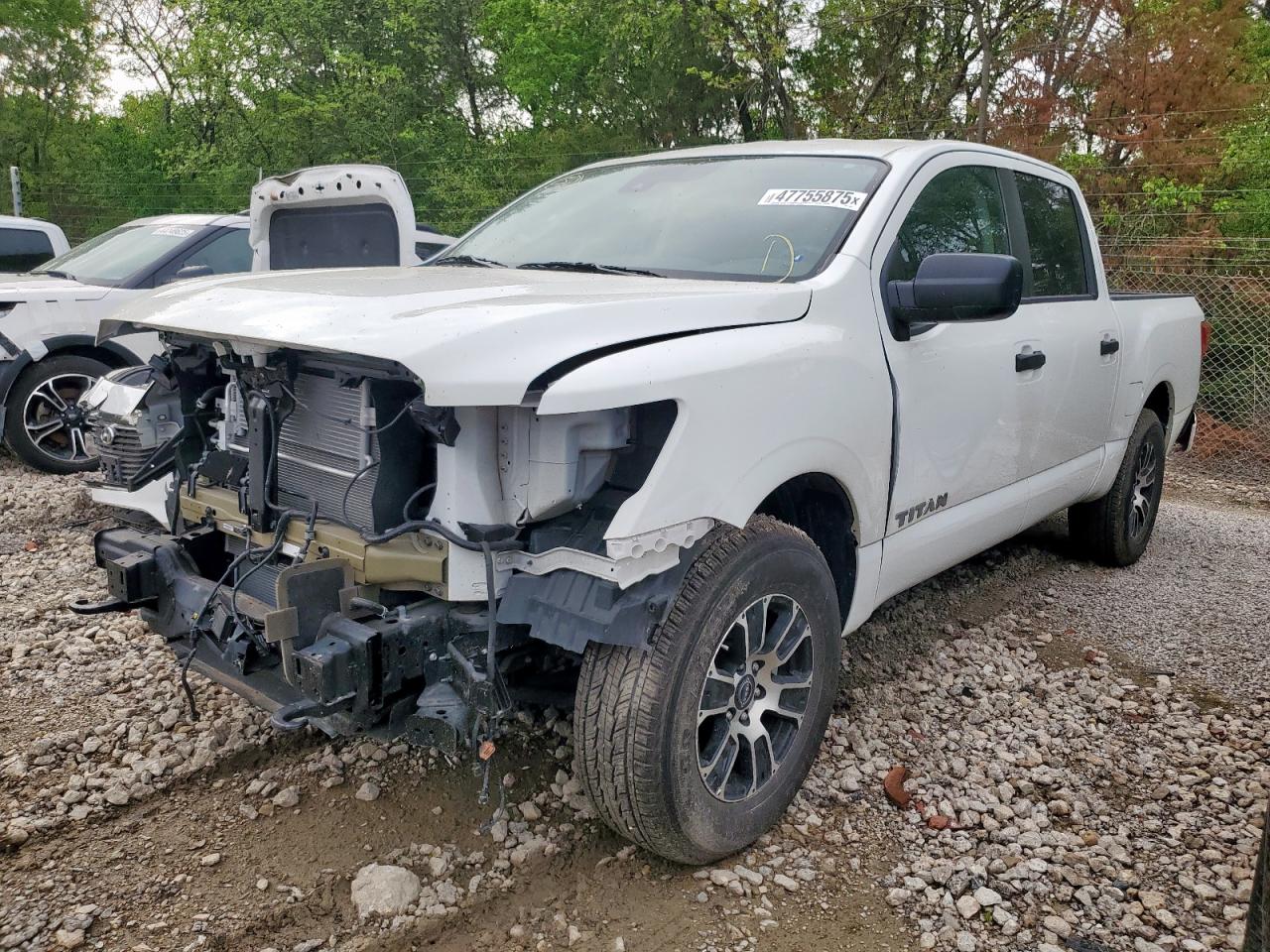 2024 NISSAN TITAN SV VIN:1N6AA1ECXRN112621