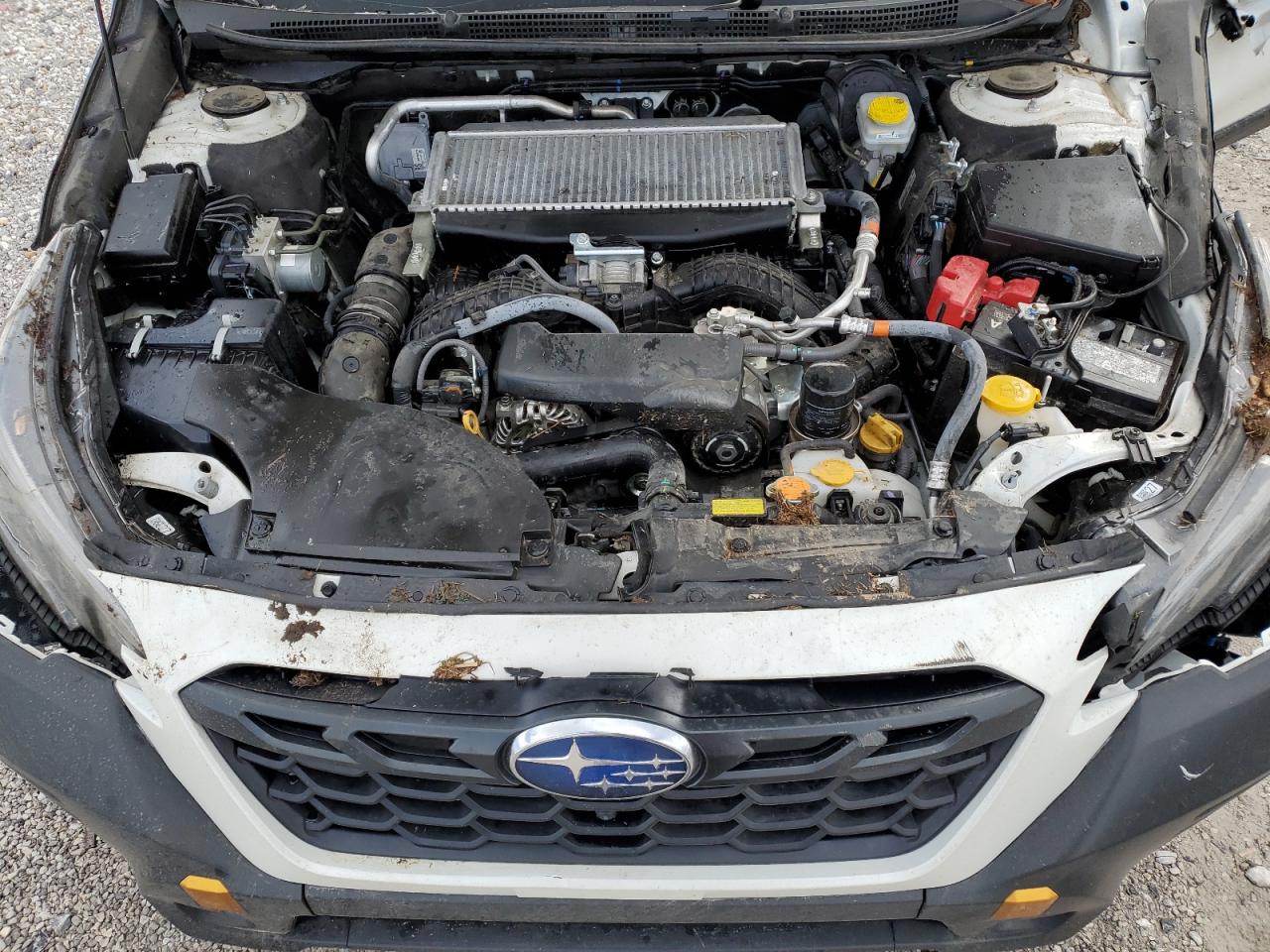 2023 SUBARU OUTBACK WILDERNESS VIN:4S4BTGUD9P3173834