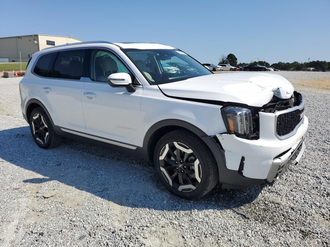 2024 KIA TELLURIDE EX VIN:5XYP34GC0RG447500