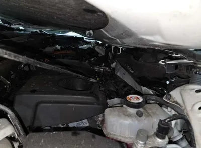 2019 Toyota RAV4 VIN: