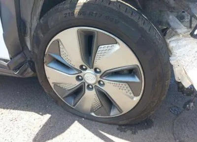 2019 Hyundai Kona KMHK281GFKU015959 VIN:KMHK281GFKU015959