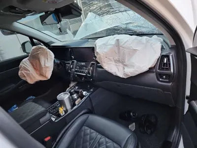 2021 Kia Sorento KNARF81BHMA039262 VIN:KNARF81BHMA039262