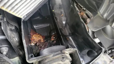 2017 Mercedes-Benz C 220 WDDWF0EB5HR253332 VIN:WDDWF0EB5HR253332