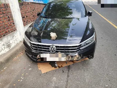 2018 Volkswagen Passat 1VWZZZA3ZJC045356 VIN:1VWZZZA3ZJC045356