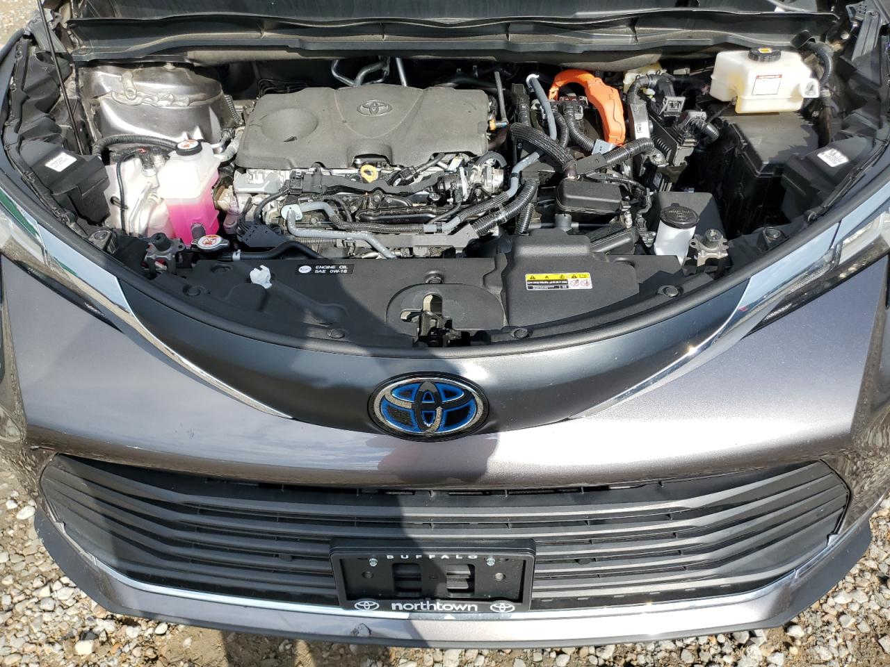 2023 TOYOTA SIENNA XLE VIN:5TDJSKFC3PS091655