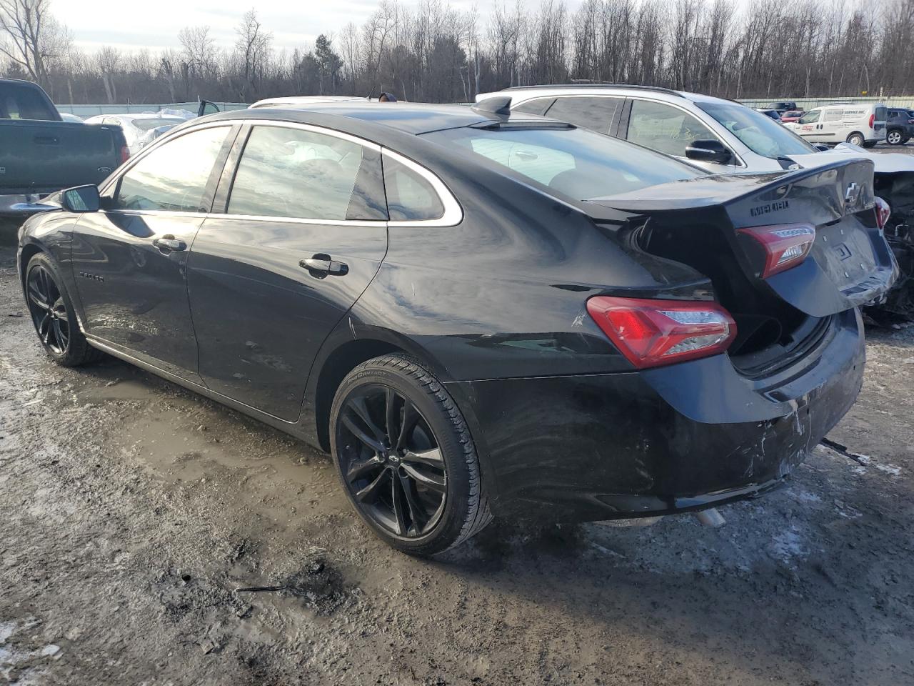 2024 CHEVROLET MALIBU LT VIN:1G1ZD5ST5RF223072