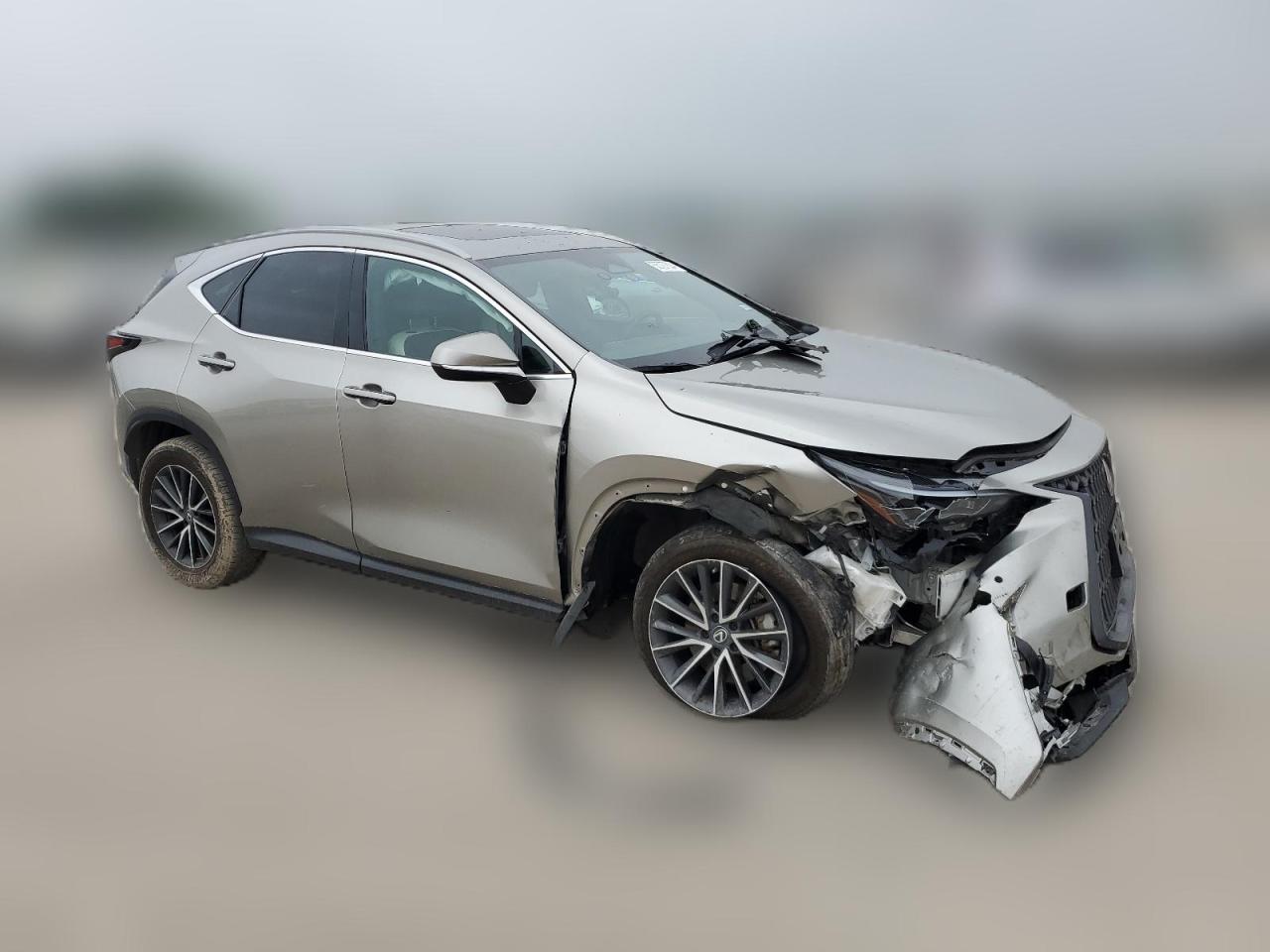 2023 LEXUS NX 250 VIN:2T2GDCAZ7PC005032