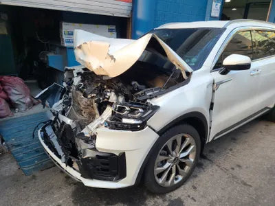 2021 Kia Sorento KNARL81BGMA039006 VIN:KNARL81BGMA039006