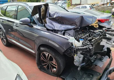 2019 Hyundai Santa FE KMHS281BBKU139725 VIN:KMHS281BBKU139725