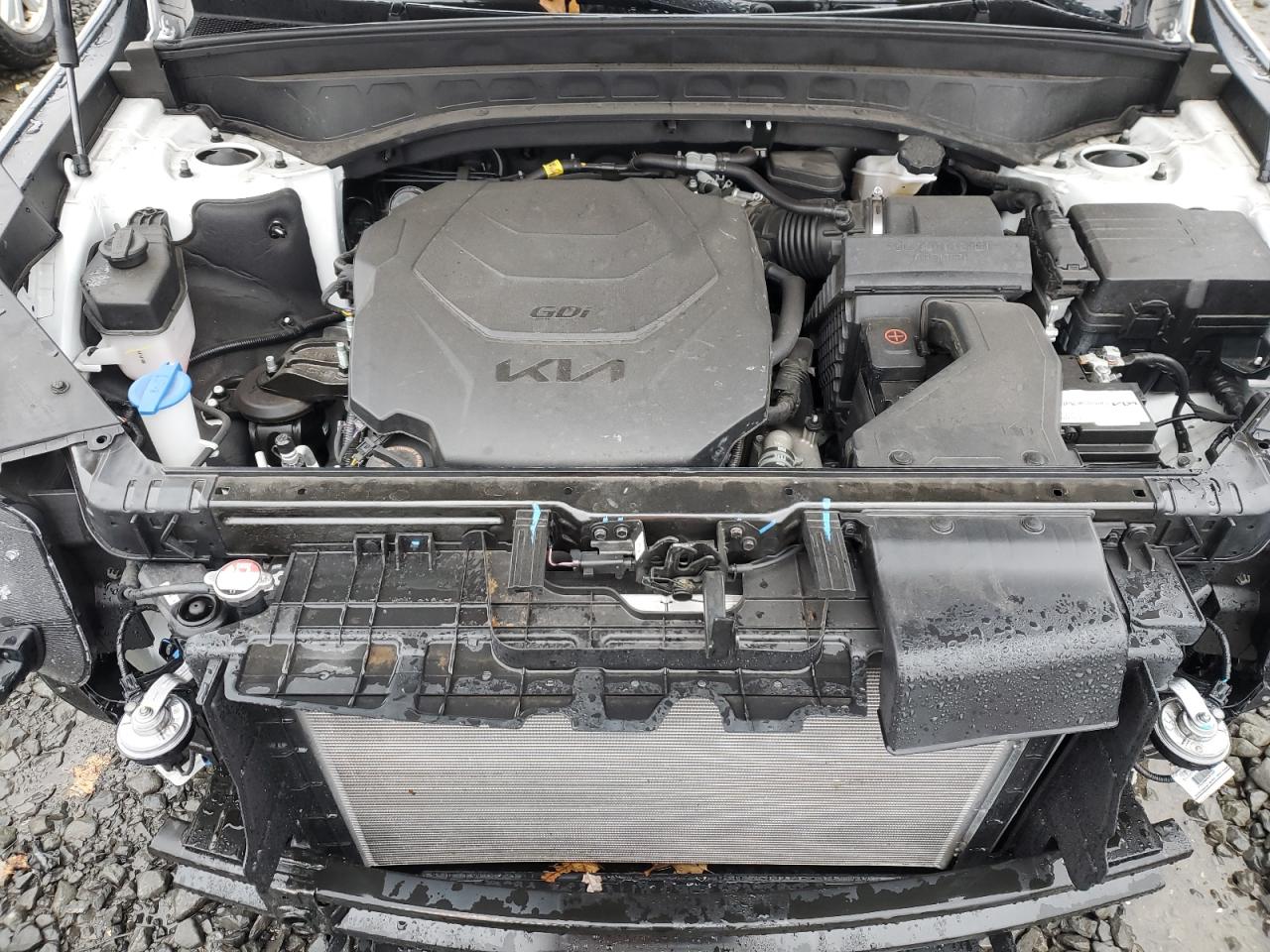 2023 KIA TELLURIDE LX VIN:5XYP2DGC0PG390540