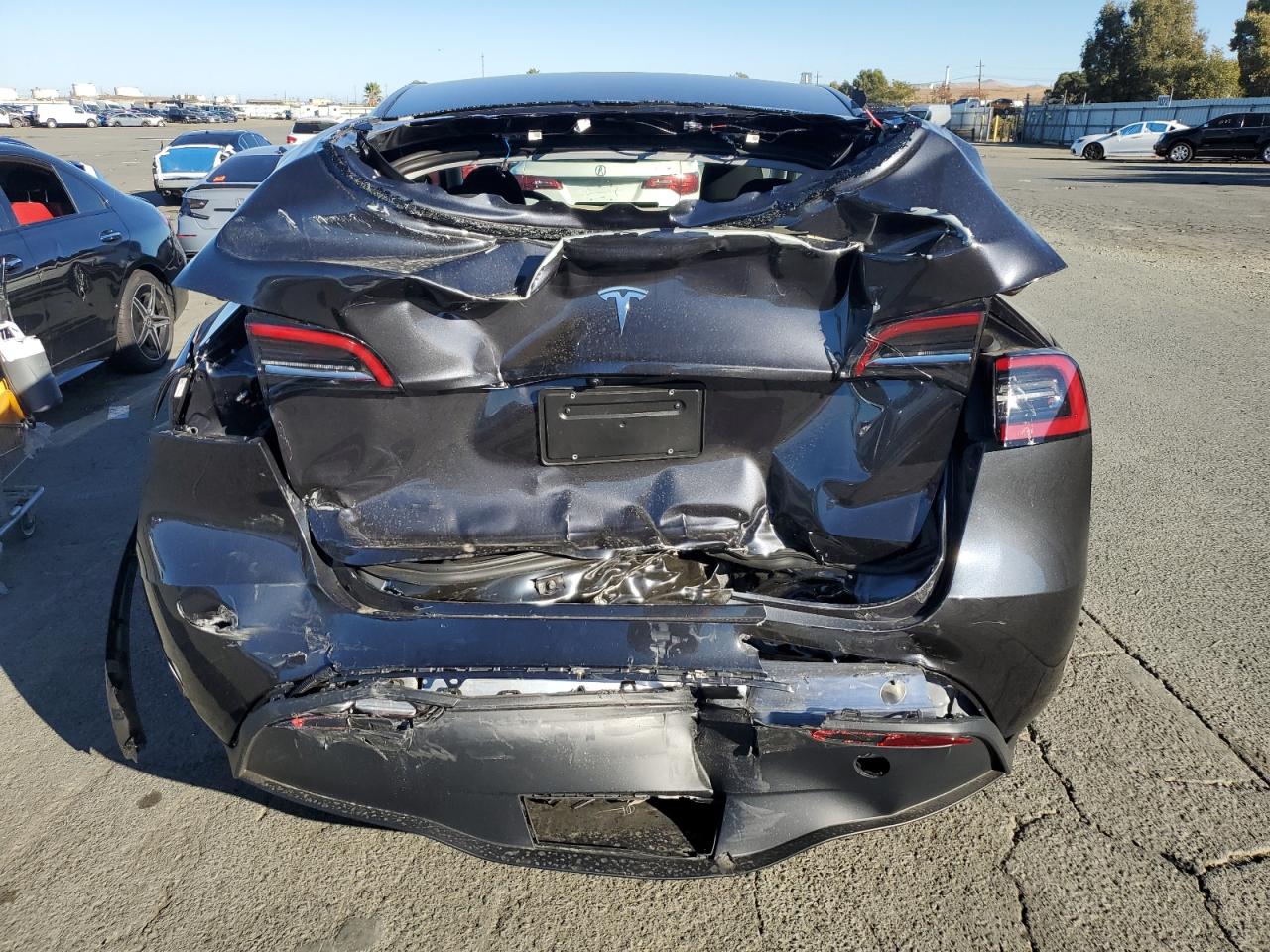 2024 TESLA MODEL Y  VIN:7SAYGDED7RF162890