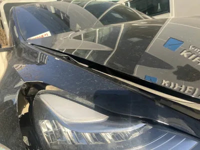 2021 Tesla Model Y 5YJYGDEE8MF225977 VIN:5YJYGDEE8MF225977