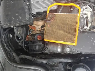 2020 Mercedes-Benz S 450 W1KUG6EB0LA530273 VIN:W1KUG6EB0LA530273