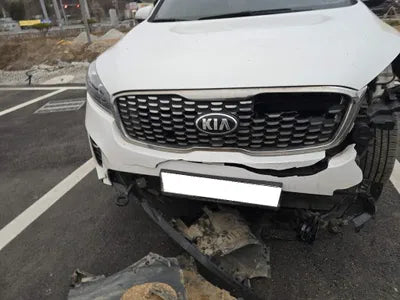 2019 Kia Sorento KNAPG81BDKA540068 VIN:KNAPG81BDKA540068