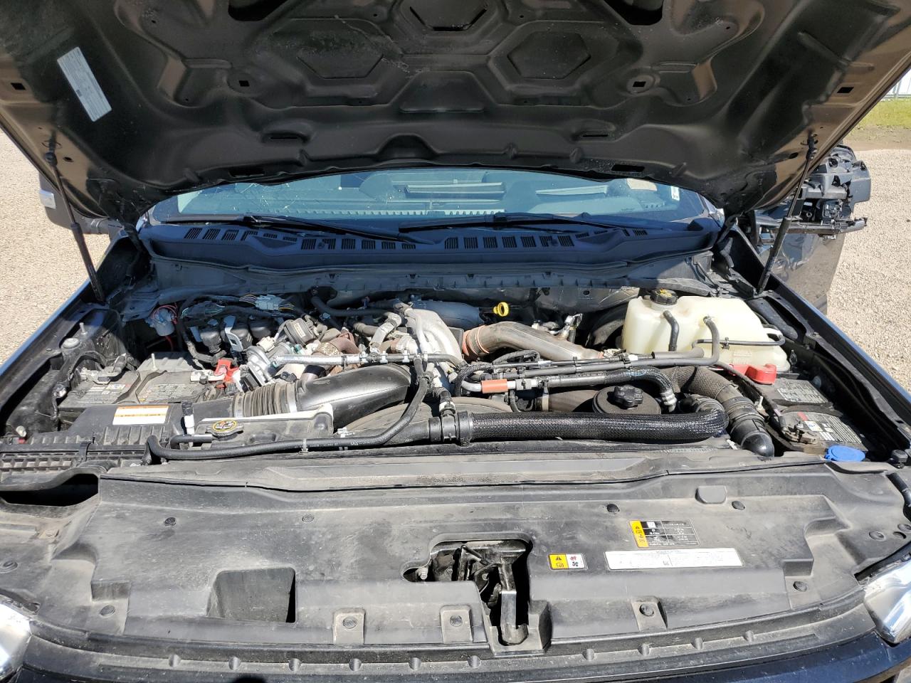 2023 FORD F350 SUPER DUTY VIN:1FT8W3BM5PED76306