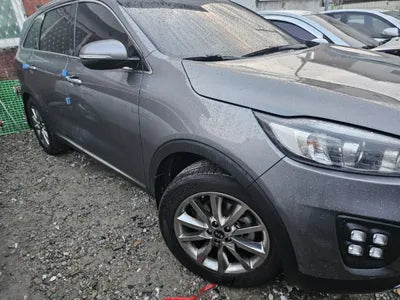 2016 Kia Sorento KNAPH81ABGA234324 VIN:KNAPH81ABGA234324