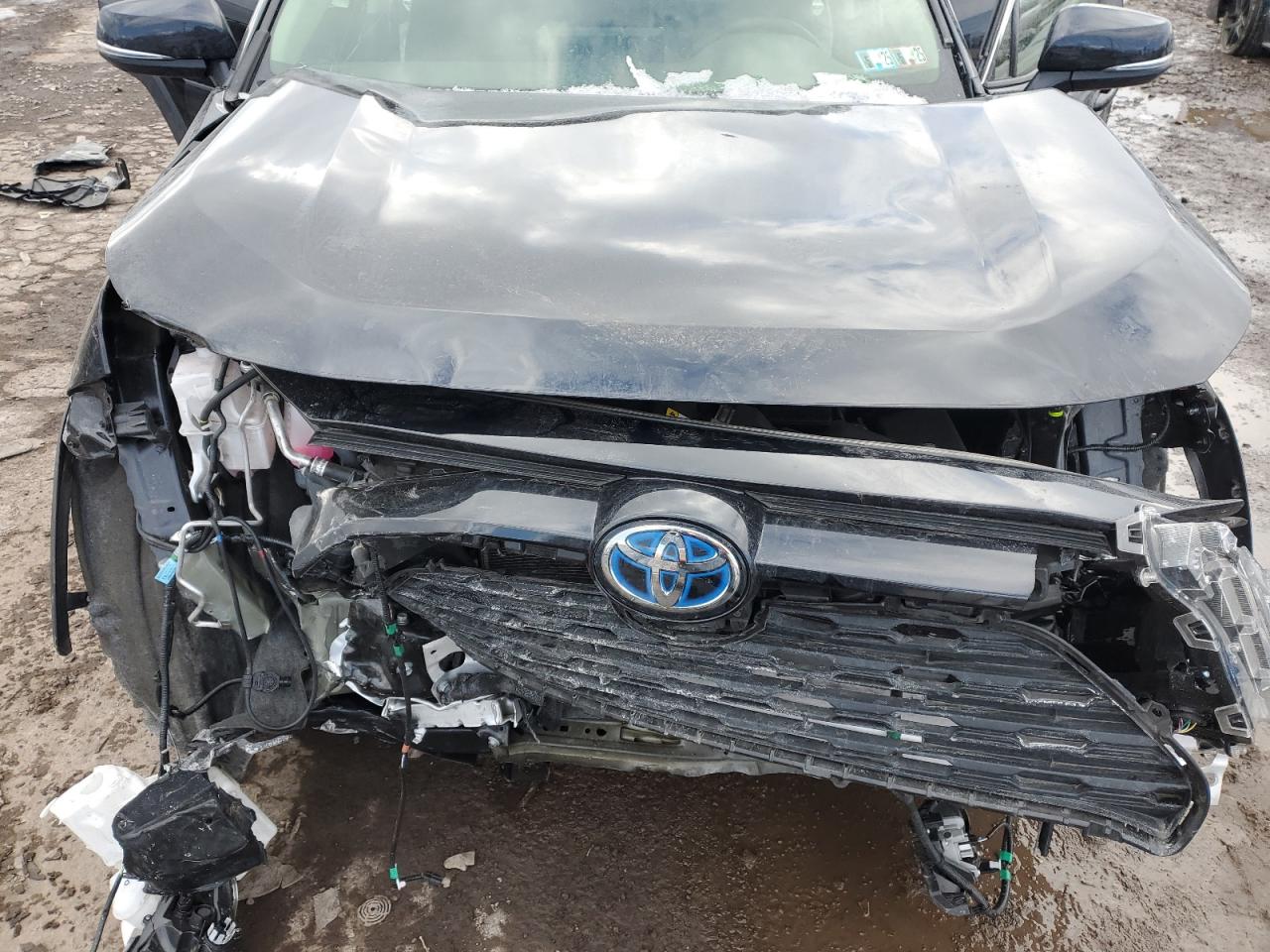 2023 TOYOTA RAV4 XLE PREMIUM VIN:JTMB6RFV9PD083493