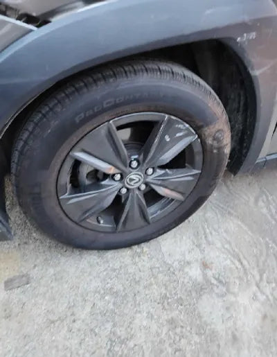 2020 Lexus UX 250 JTHP6JBH8L2070407 VIN:JTHP6JBH8L2070407