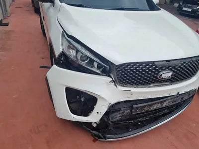 2016 Kia Sorento KNAPH81ABGA176402 VIN:KNAPH81ABGA176402
