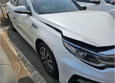 2019 Kia K5 KNAGT416BKA309881 VIN:KNAGT416BKA309881