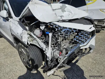 2021 Hyundai Santa FE KMHS281HGMU399615 VIN:KMHS281HGMU399615