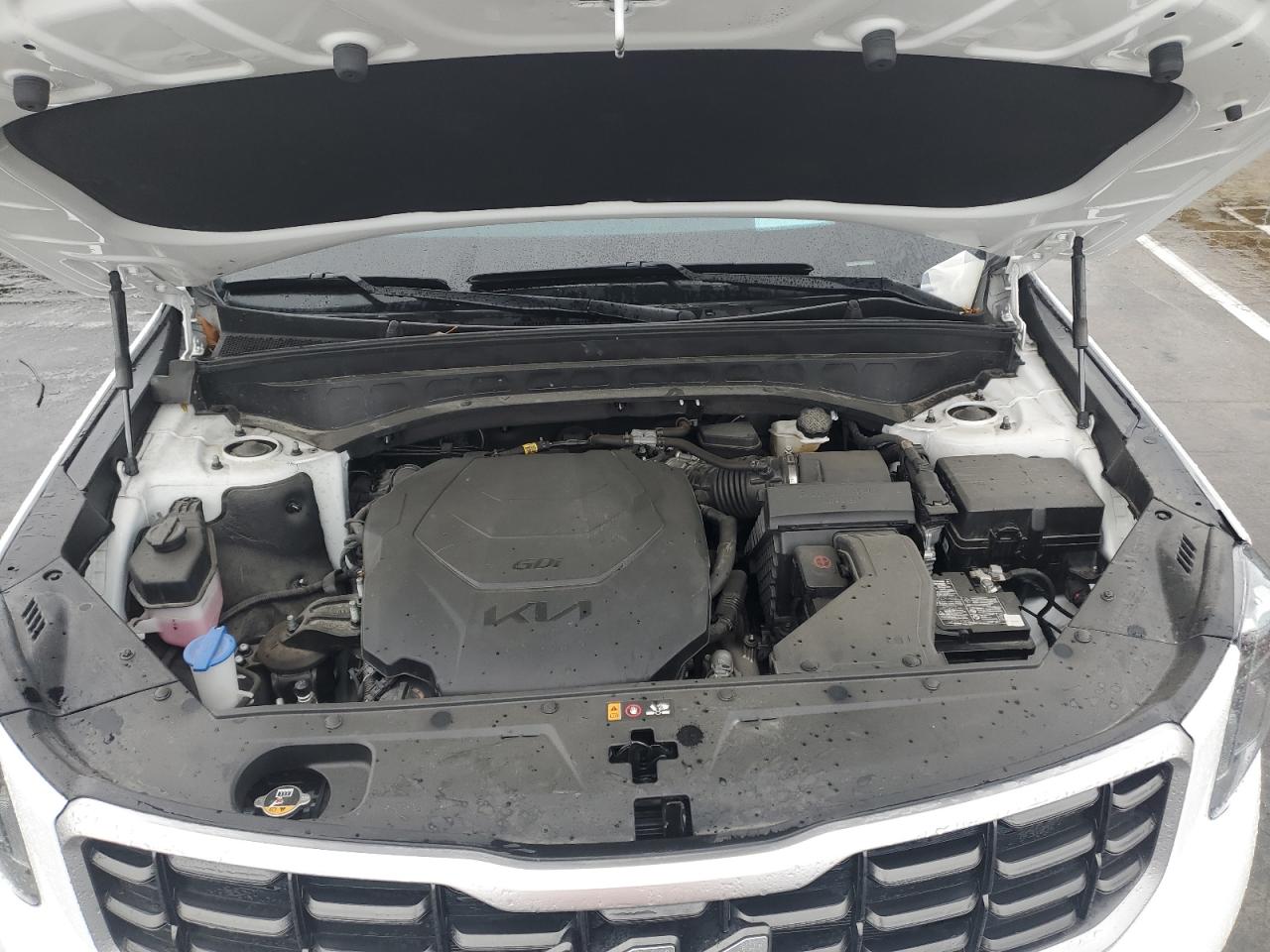 2023 KIA TELLURIDE SX VIN:5XYP5DGC9PG365045