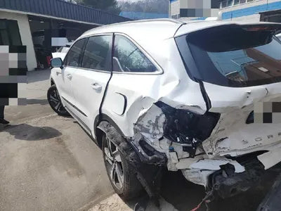 2021 Kia Sorento KNARF81GDMA045087 VIN:KNARF81GDMA045087